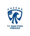 Sokol Vršovice "A"