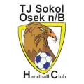 TJ Sokol Osek n/B