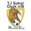 TJ Sokol Osek n/B